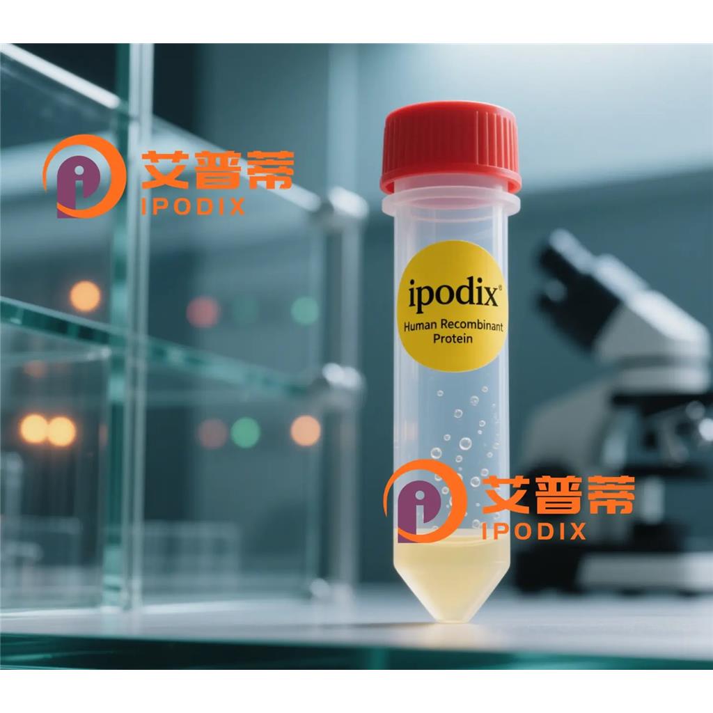 MIER2抗体,Rabbit Polyclonal MIER2 Antibody