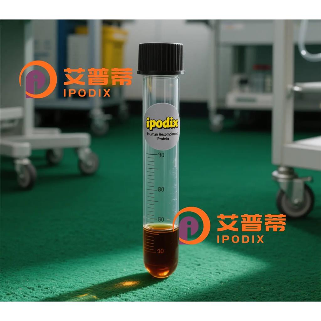 RNF11抗体,Rabbit Polyclonal RNF11 Antibody