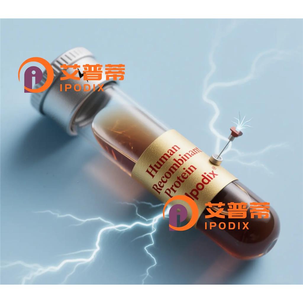 STAR抗體,Rabbit Polyclonal STAR Antibody