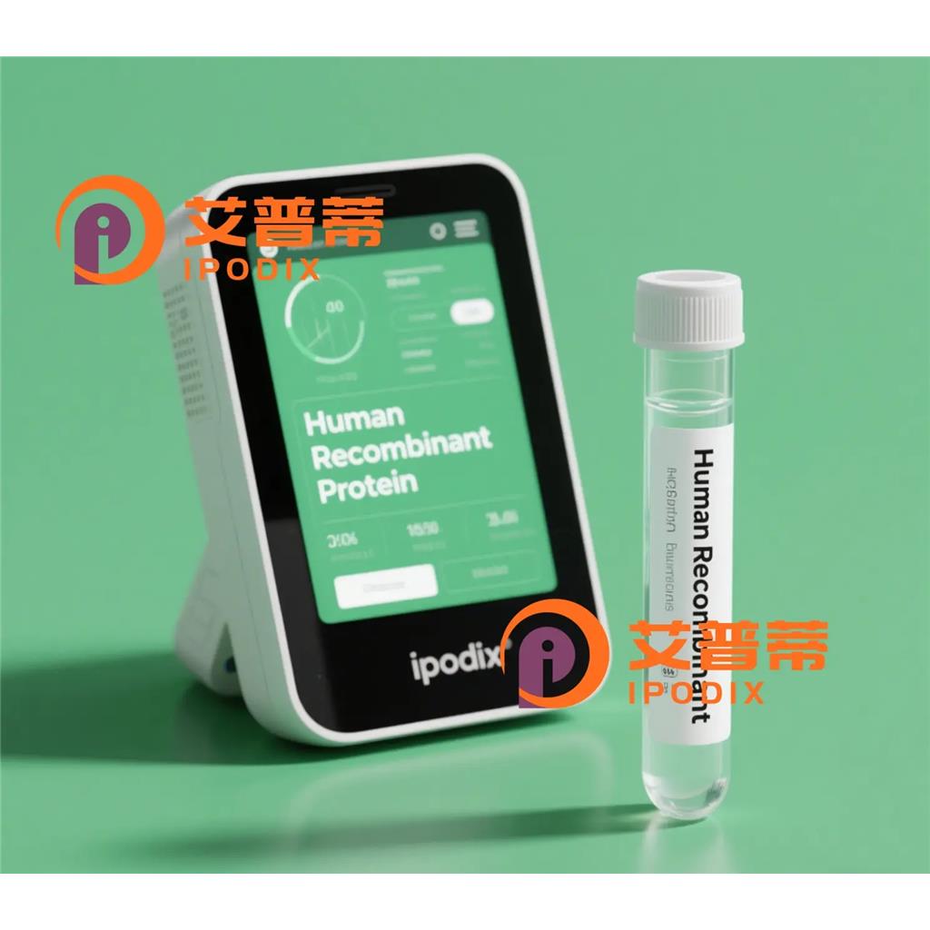 TRAIP抗体,Rabbit Polyclonal TRAIP Antibody