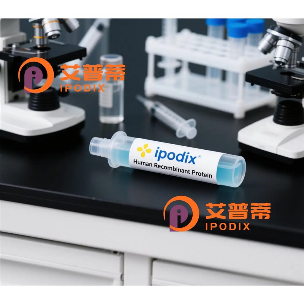 NDUFB10抗体,Rabbit Polyclonal NDUFB10 Antibody