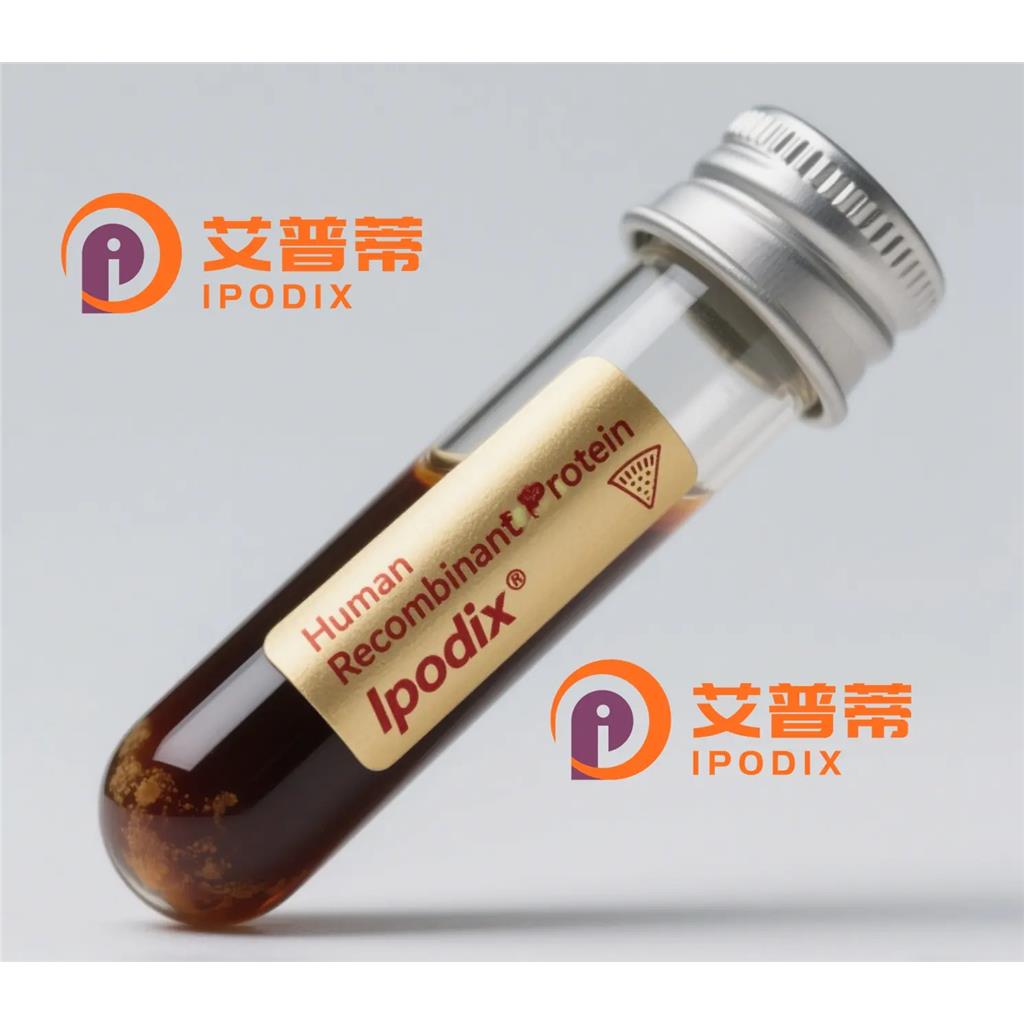 S100A16抗體,Rabbit Polyclonal S100A16 Antibody