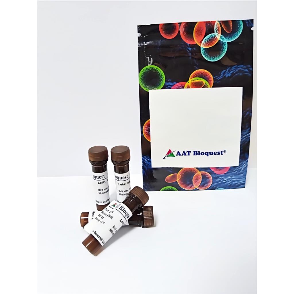 LysoBrite?溶酶体绿色荧光探针,LysoBrite Green