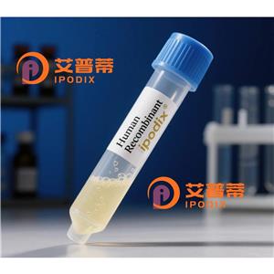 CSH1抗体,Rabbit Polyclonal CSH1 Antibody