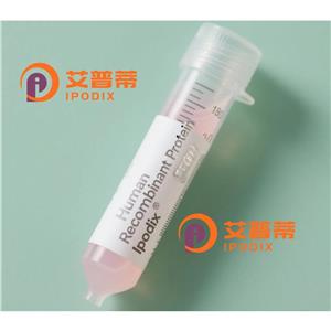 BUB3抗體,Rabbit Polyclonal BUB3 Antibody