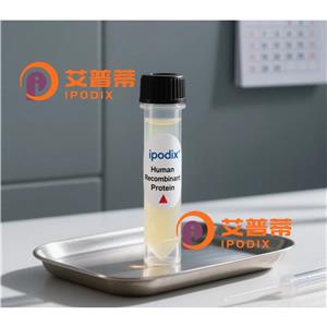 MRPL39抗体,Rabbit Polyclonal MRPL39 Antibody