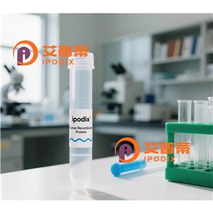 MTUS1抗体,Rabbit Polyclonal MTUS1 Antibody