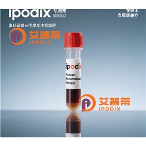 TRIM69抗体,Rabbit Polyclonal TRIM69 Antibody