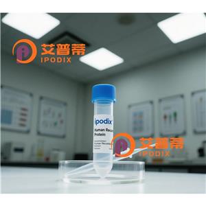 TRIM69抗体,Rabbit Polyclonal TRIM69 Antibody