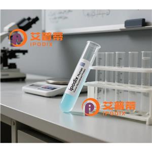 RPLP2抗体,Rabbit Polyclonal RPLP2 Antibody