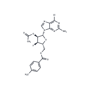 化合物 9-(2-O-Acetyl-5-O-toluyl-3-deoxy-3-fluoro-beta-D-ribofuranosyl)-2-amino-6-chloropurine|TNU0769|TargetMol
