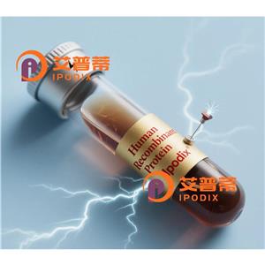 STAR抗體,Rabbit Polyclonal STAR Antibody