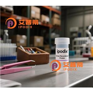 TNFAIP3抗体—艾普蒂