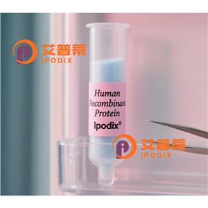 TXNDC17抗体—艾普蒂