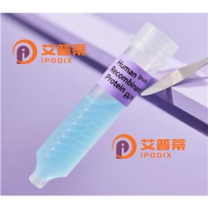 UBA7抗体,Rabbit Polyclonal UBA7 Antibody