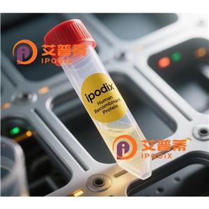 UBA7抗体,Rabbit Polyclonal UBA7 Antibody