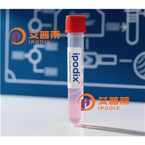 UBA7抗体,Rabbit Polyclonal UBA7 Antibody