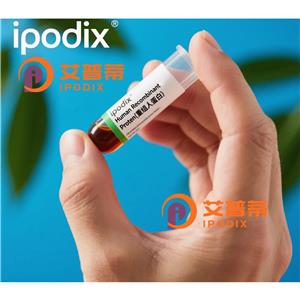 VPS37D抗体,Rabbit Polyclonal VPS37D Antibody