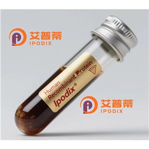 S100A16抗體,Rabbit Polyclonal S100A16 Antibody
