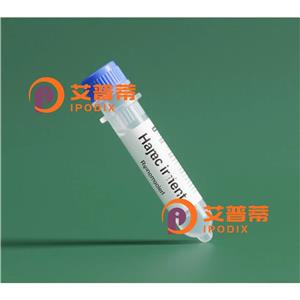 LMNTD1抗体,Rabbit Polyclonal LMNTD1 Antibody