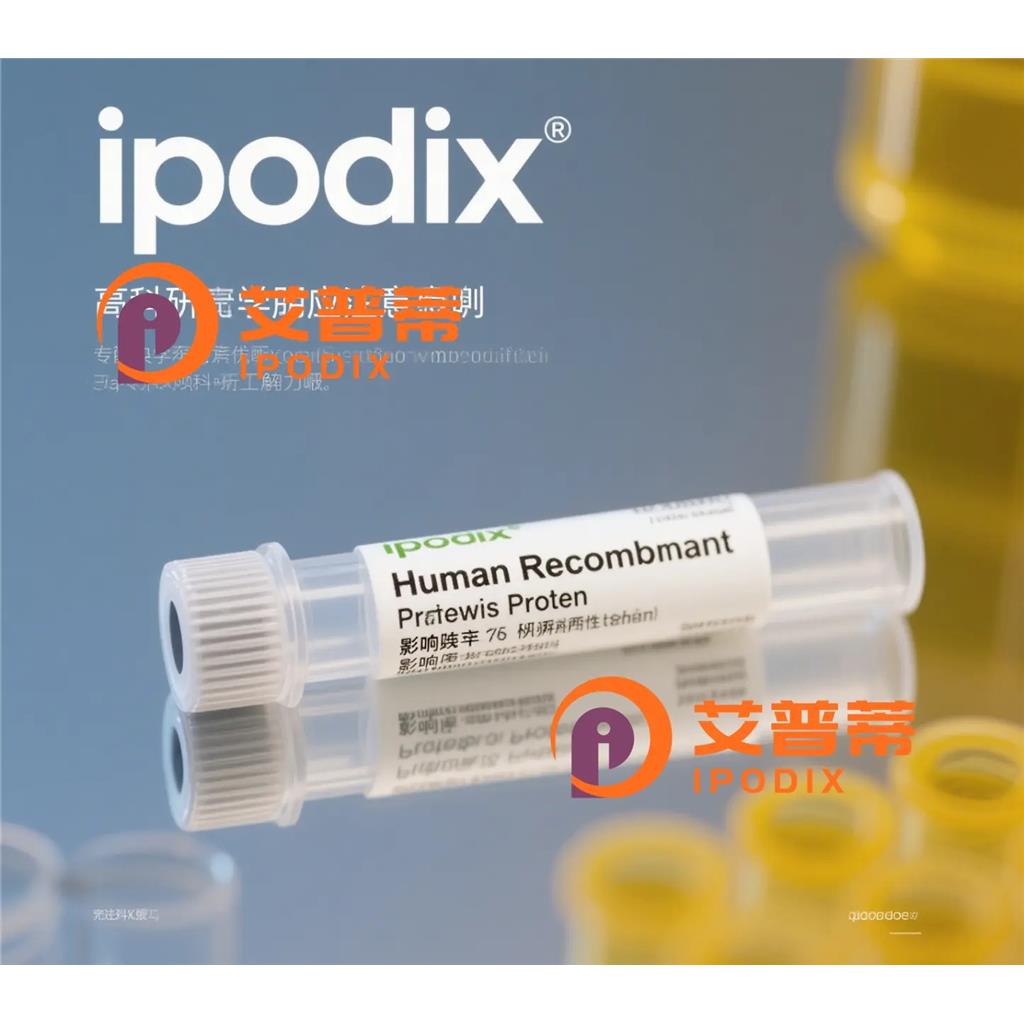GINS4抗體,Rabbit Polyclonal GINS4 Antibody