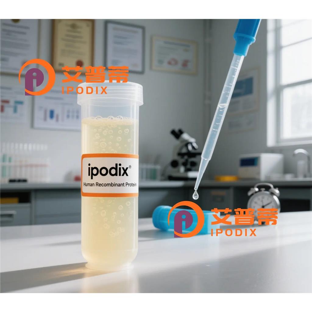 USO1抗体,Rabbit Polyclonal USO1 Antibody