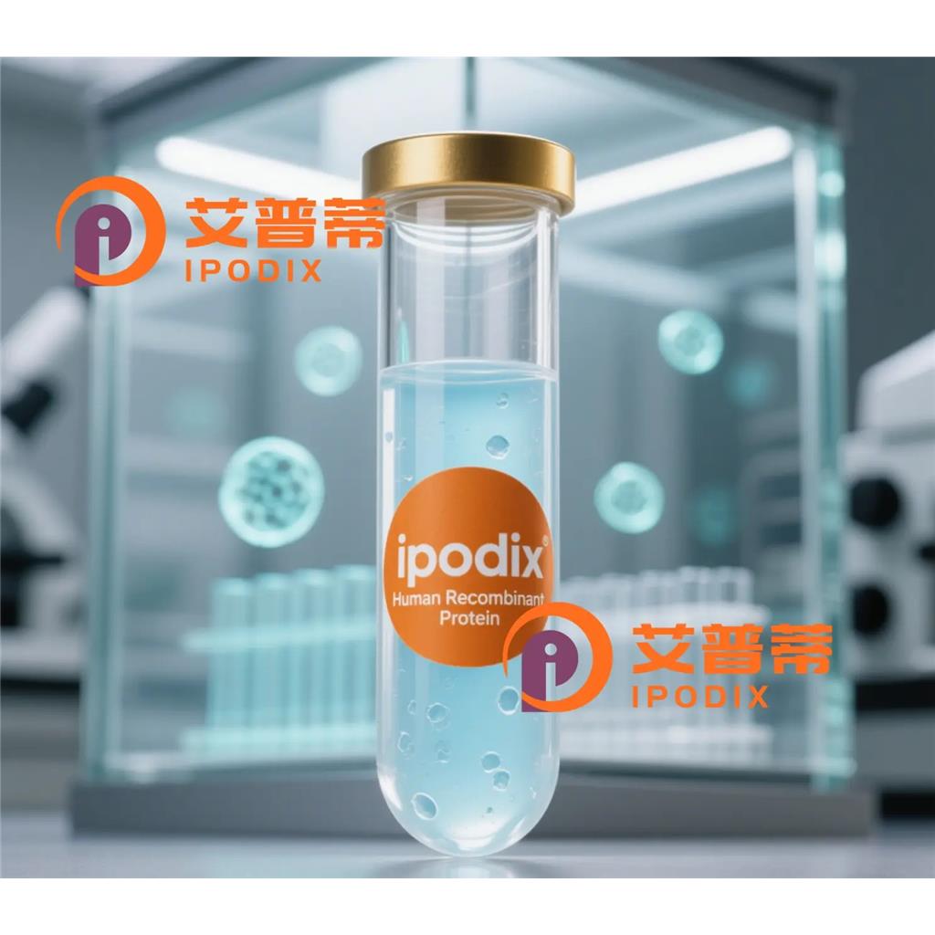 UBE2W抗体,Rabbit Polyclonal UBE2W Antibody