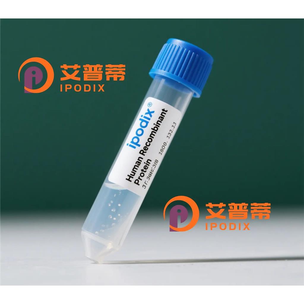 ZMYND10抗体,Rabbit Polyclonal ZMYND10 Antibody
