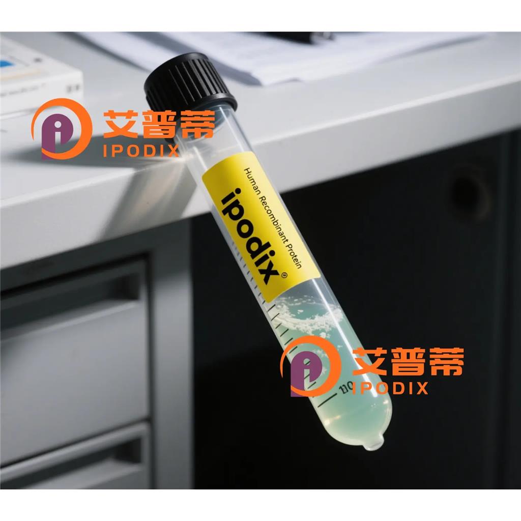 BOLA1抗体,Rabbit Polyclonal BOLA1 Antibody