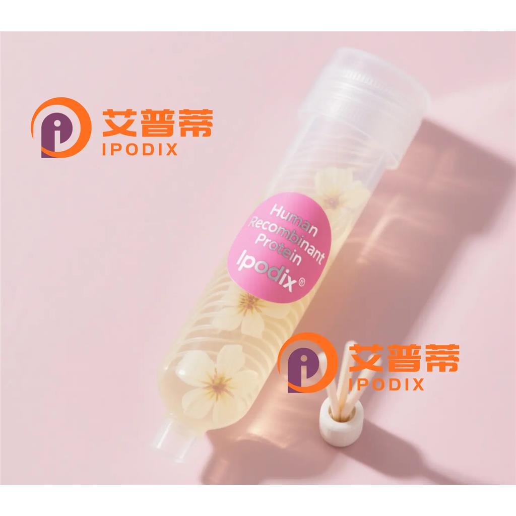 CDA抗体,Rabbit Polyclonal CDA Antibody