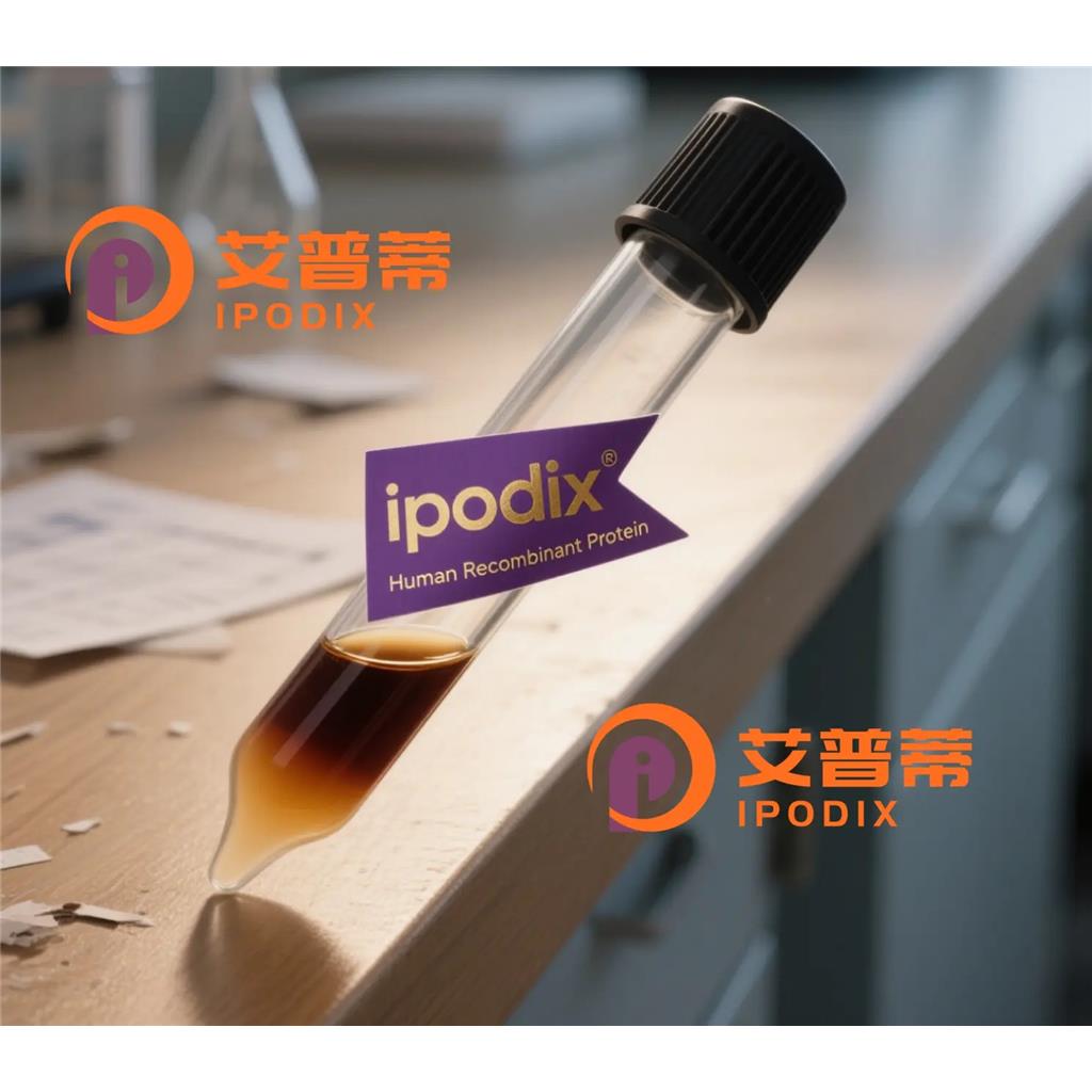 CDC42EP2抗体,Rabbit Polyclonal CDC42EP2 Antibody