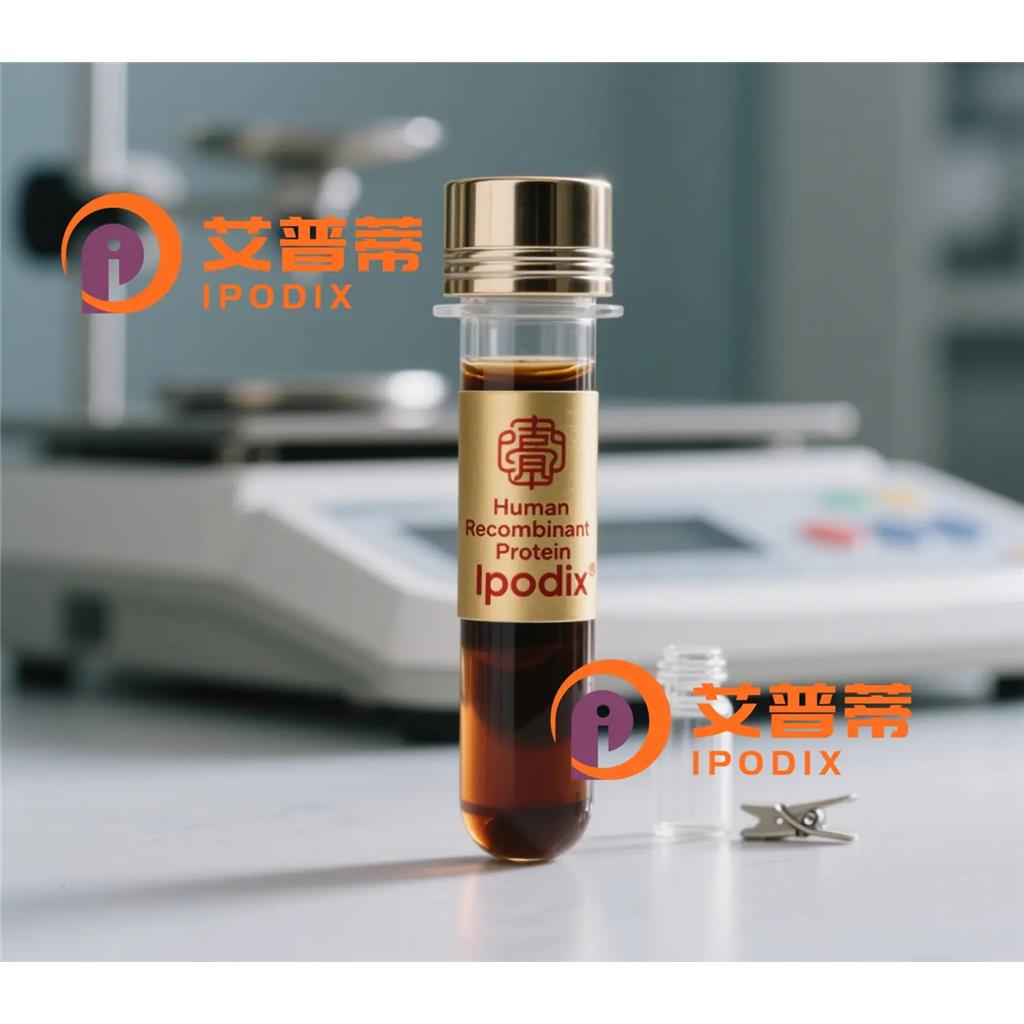 CLUL1抗体,Rabbit Polyclonal CLUL1 Antibody