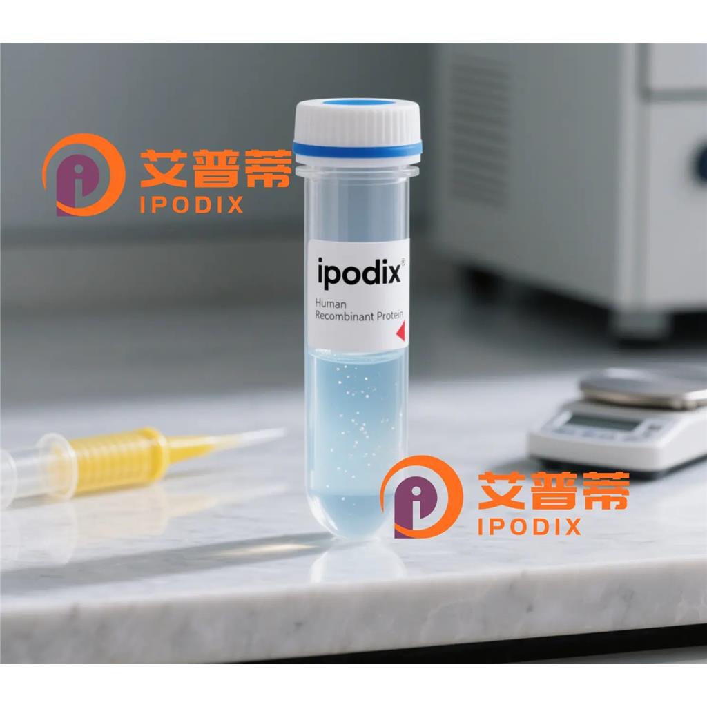 DCP1B抗体,Rabbit Polyclonal DCP1B Antibody