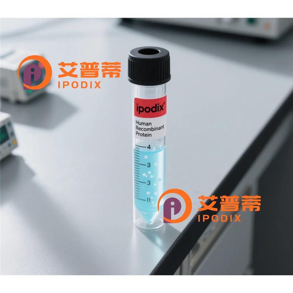 ERP27抗體,Rabbit Polyclonal ERP27 Antibody