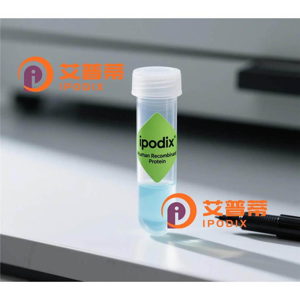 INPP1抗体,Rabbit Polyclonal INPP1 Antibody