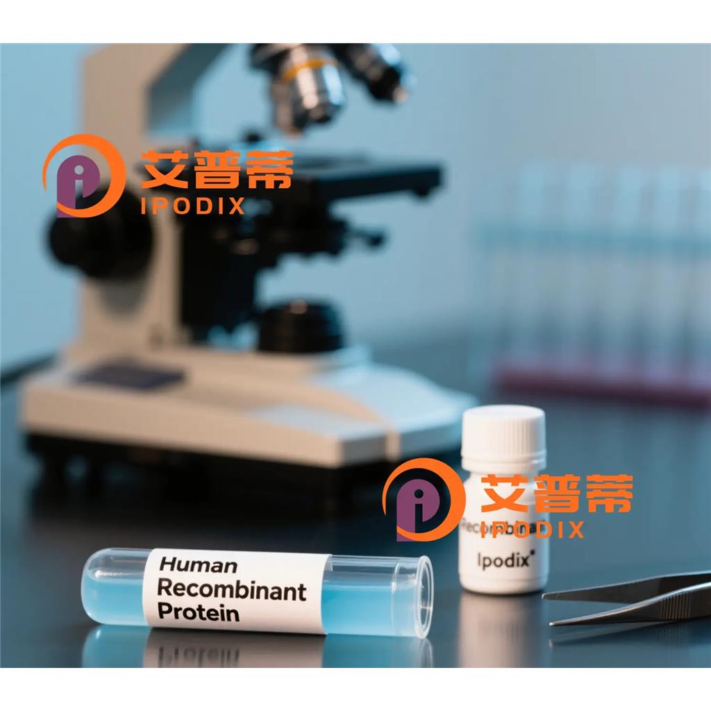 RBX1抗体,Rabbit Polyclonal RBX1 Antibody