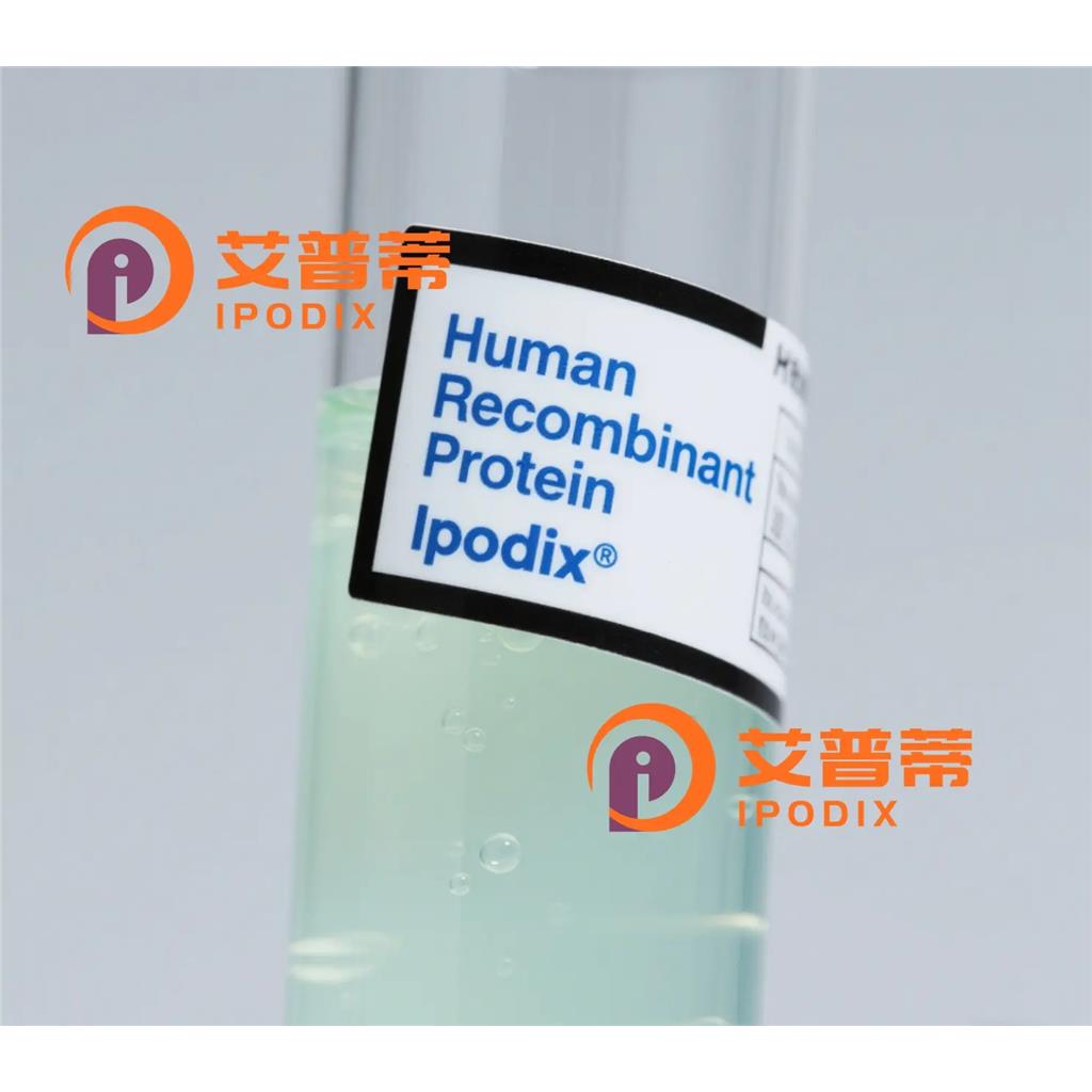 THTPA抗体,Rabbit Polyclonal THTPA Antibody