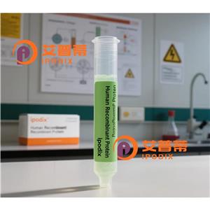 DYDC2抗体,Rabbit Polyclonal DYDC2 Antibody