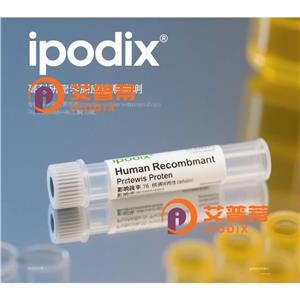 GINS4抗體,Rabbit Polyclonal GINS4 Antibody