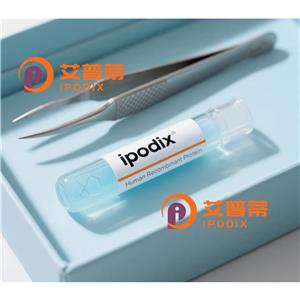 WDFY4抗体,Rabbit Polyclonal WDFY4 Antibody