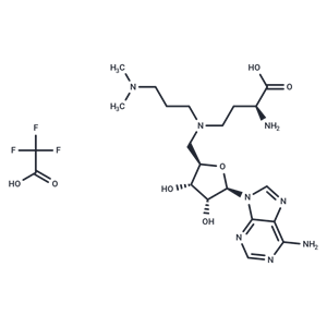 化合物 GSK2807 Trifluoroacetate|T11486|TargetMol