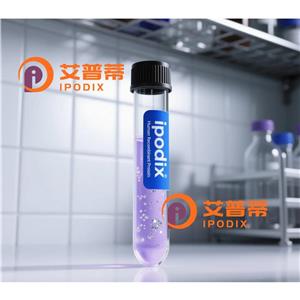 BBOF1抗体,Rabbit Polyclonal BBOF1 Antibody