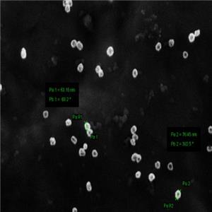 新型納米材料設(shè)計(jì)、制備和表征（納米材料定制服務(wù)）,Novel nanomaterials