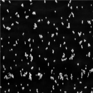 新型納米材料設(shè)計(jì)、制備和表征（納米材料定制服務(wù)）,Novel nanomaterials