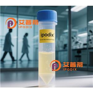 CLCN5抗体,Rabbit Polyclonal CLCN5 Antibody