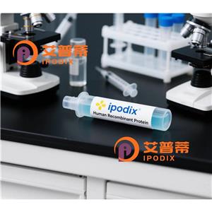 CLCN5抗体,Rabbit Polyclonal CLCN5 Antibody