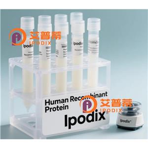 COPE抗體,Rabbit Polyclonal COPE Antibody