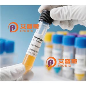 DYNC1LI1抗体,Rabbit Polyclonal DYNC1LI1 Antibody