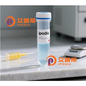 DCP1B抗体—艾普蒂