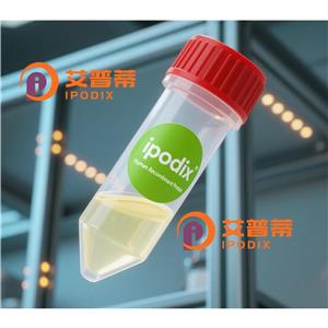 DCPS抗體,Rabbit Polyclonal DCPS Antibody